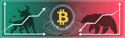 Learn how to make money in crypto by e-pimp.com Learn how to make money in crypto by e-pimp.com